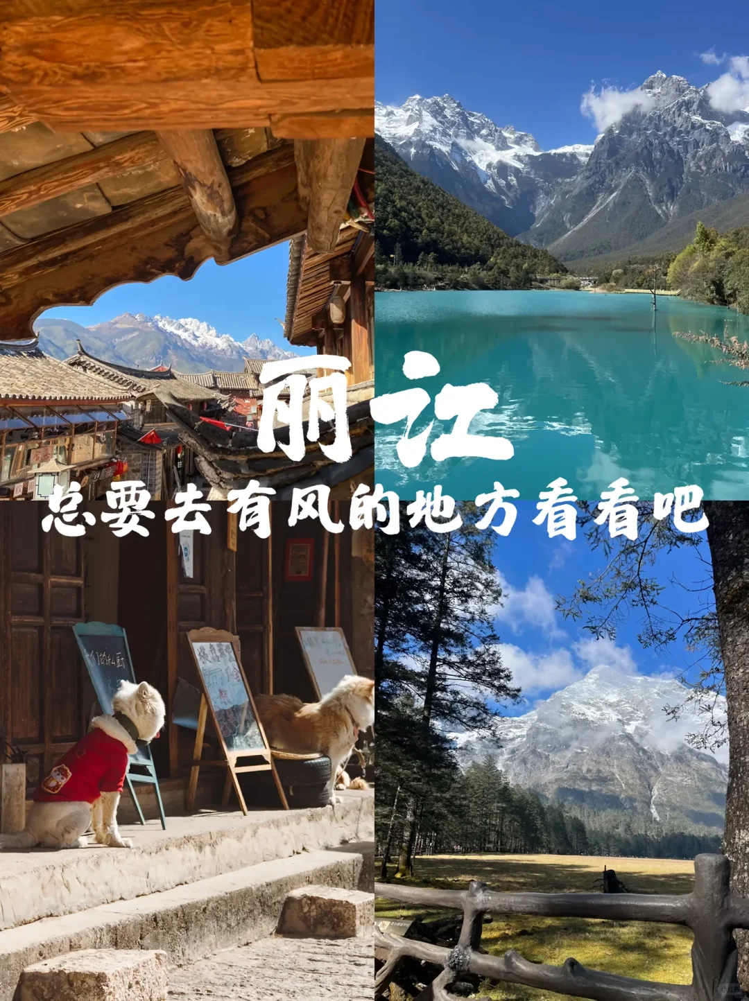 30岁前必打卡的✅旅游城市，一定要去看看