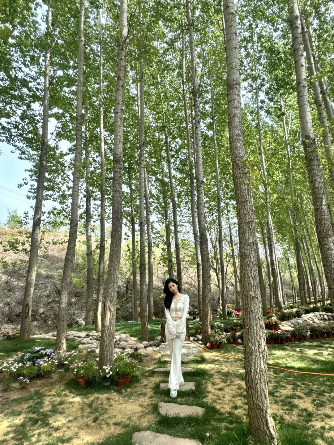 假期就去这！竟然有这么美的莫奈花园！💐