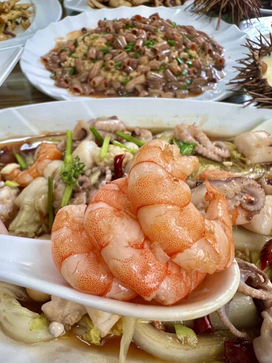 刚从蓬莱回来！说点大实话……😅😅