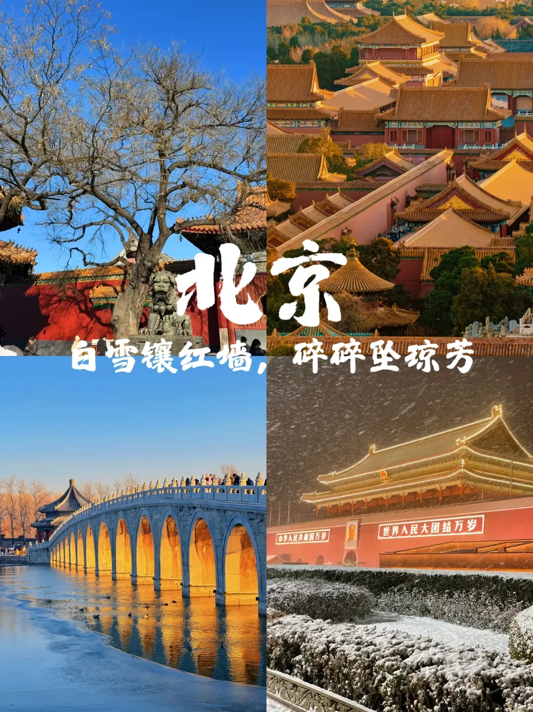 30岁前必打卡的✅旅游城市，一定要去看看
