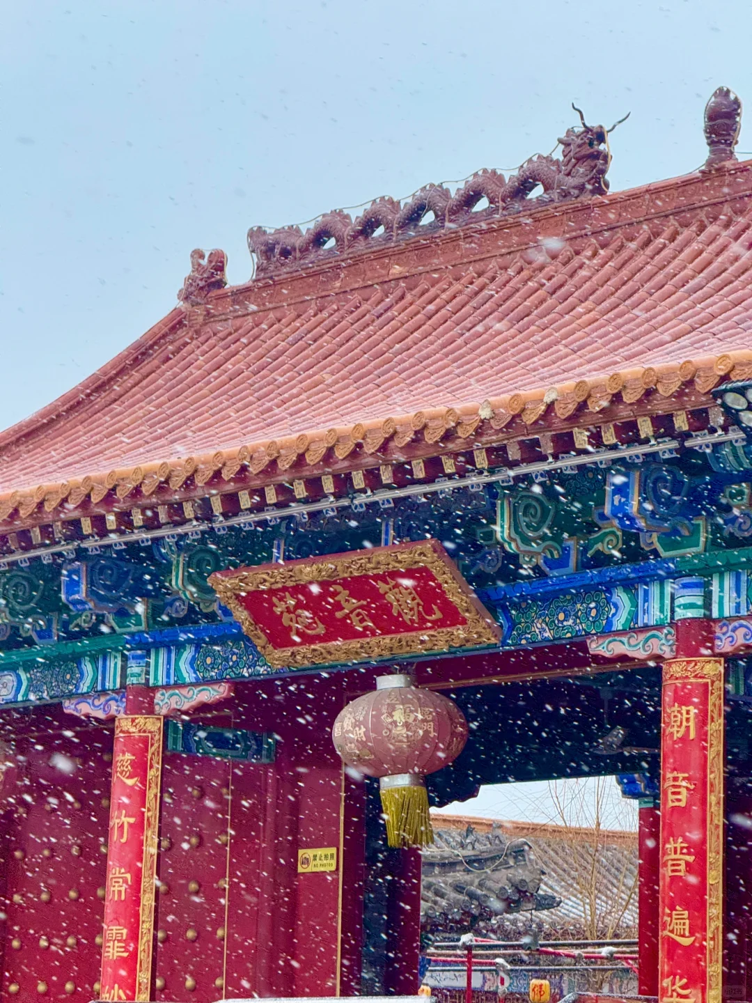 刚从蓬莱回来！说点大实话……😅😅
