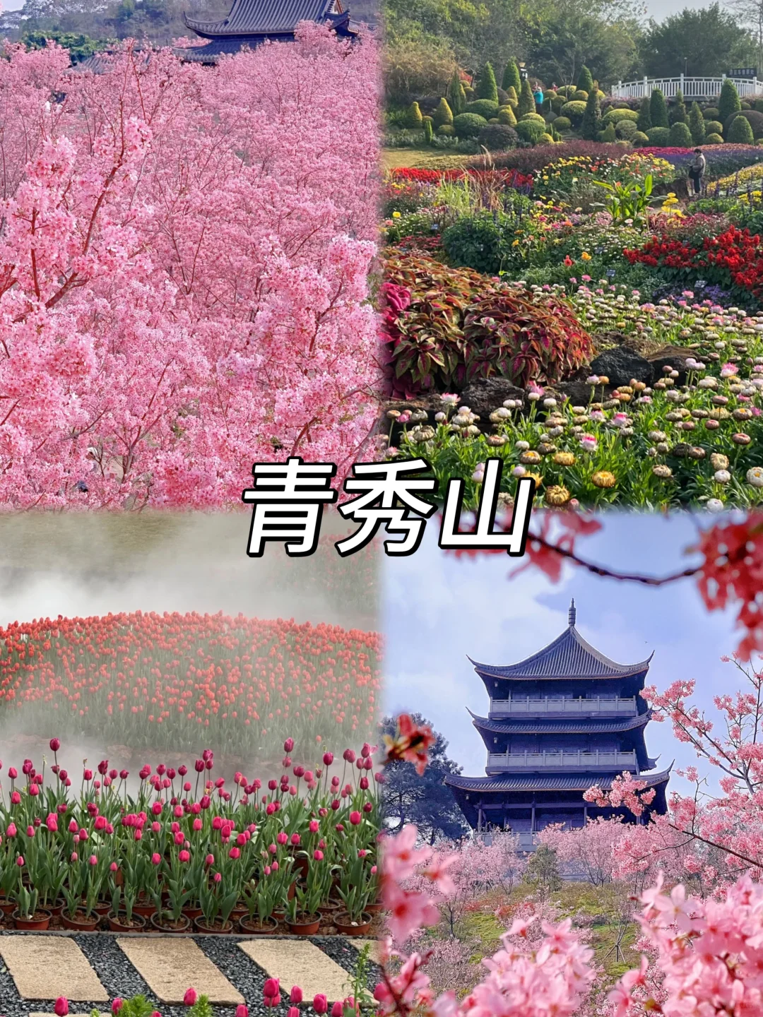 南宁，我最喜欢的城市之一~