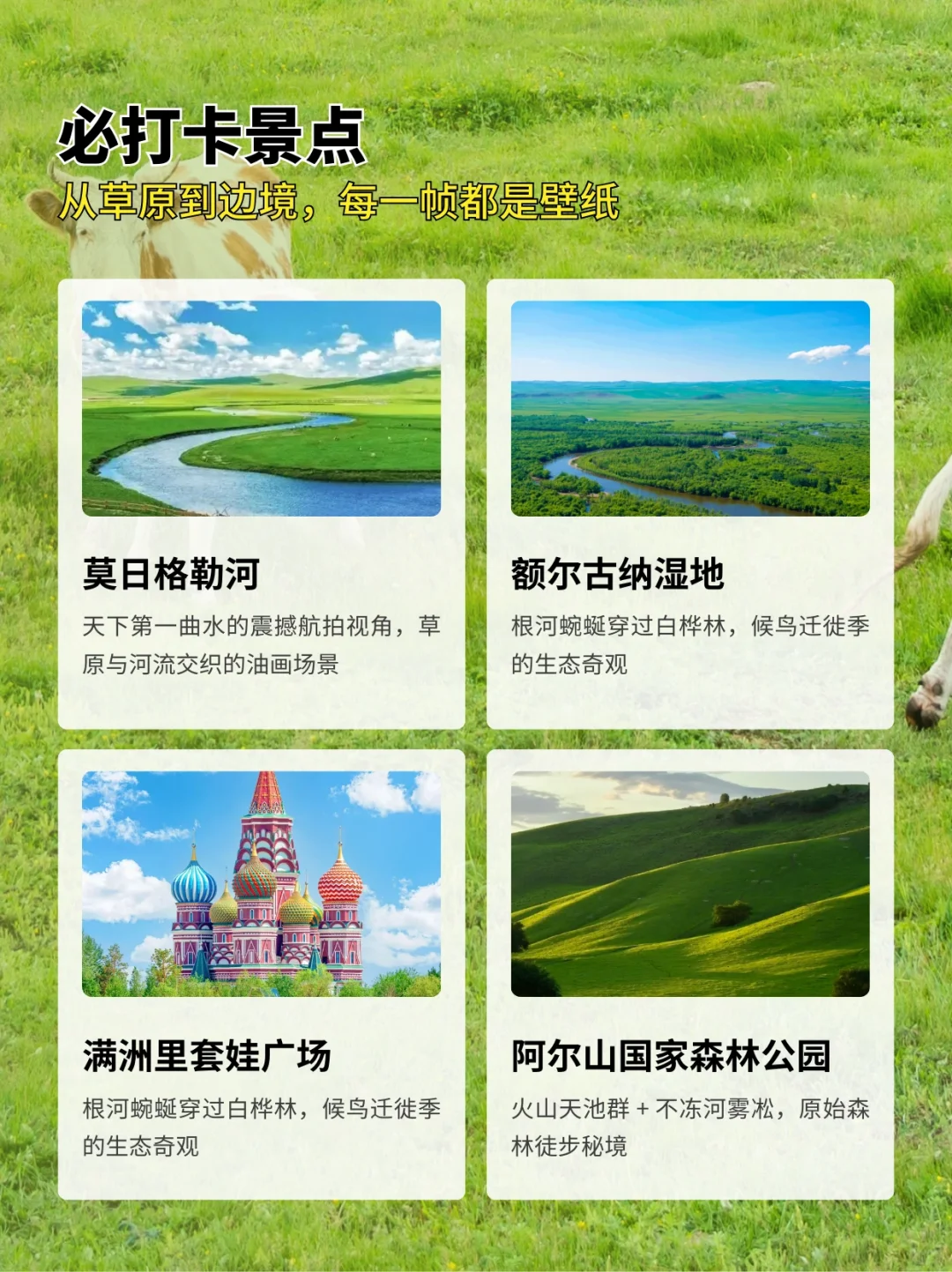内蒙本地人私藏的5-6月旅游攻略！快码住！