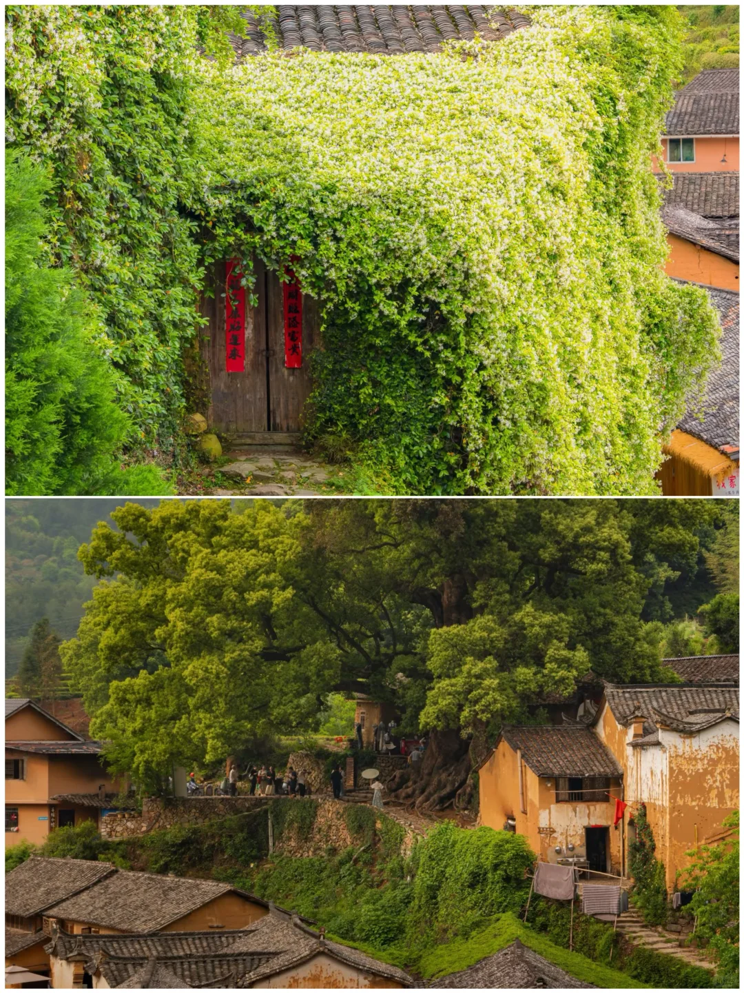高铁直达！适合小住3天的小众城市攻略🚄