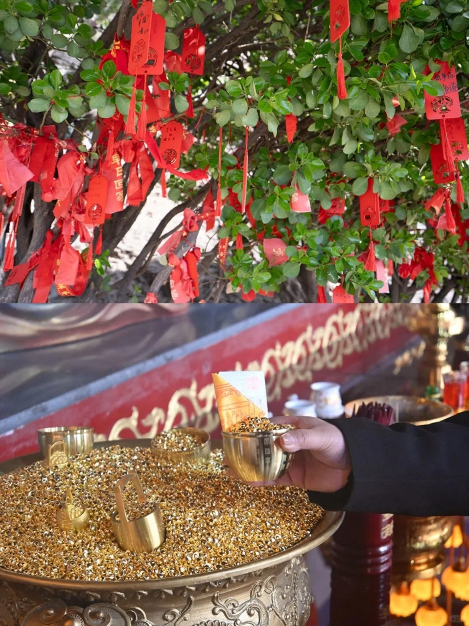 邯郸 9 大必打卡景点！历史与美景全收割