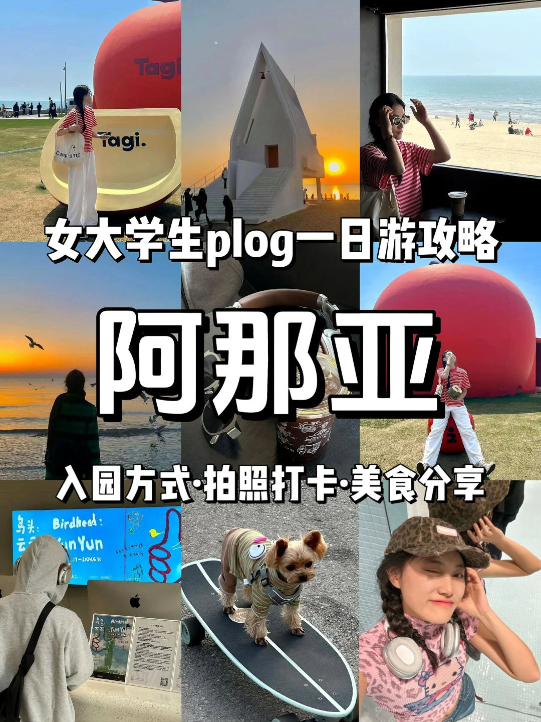 《阿那亚旅游攻略》逛不完根本逛不完！