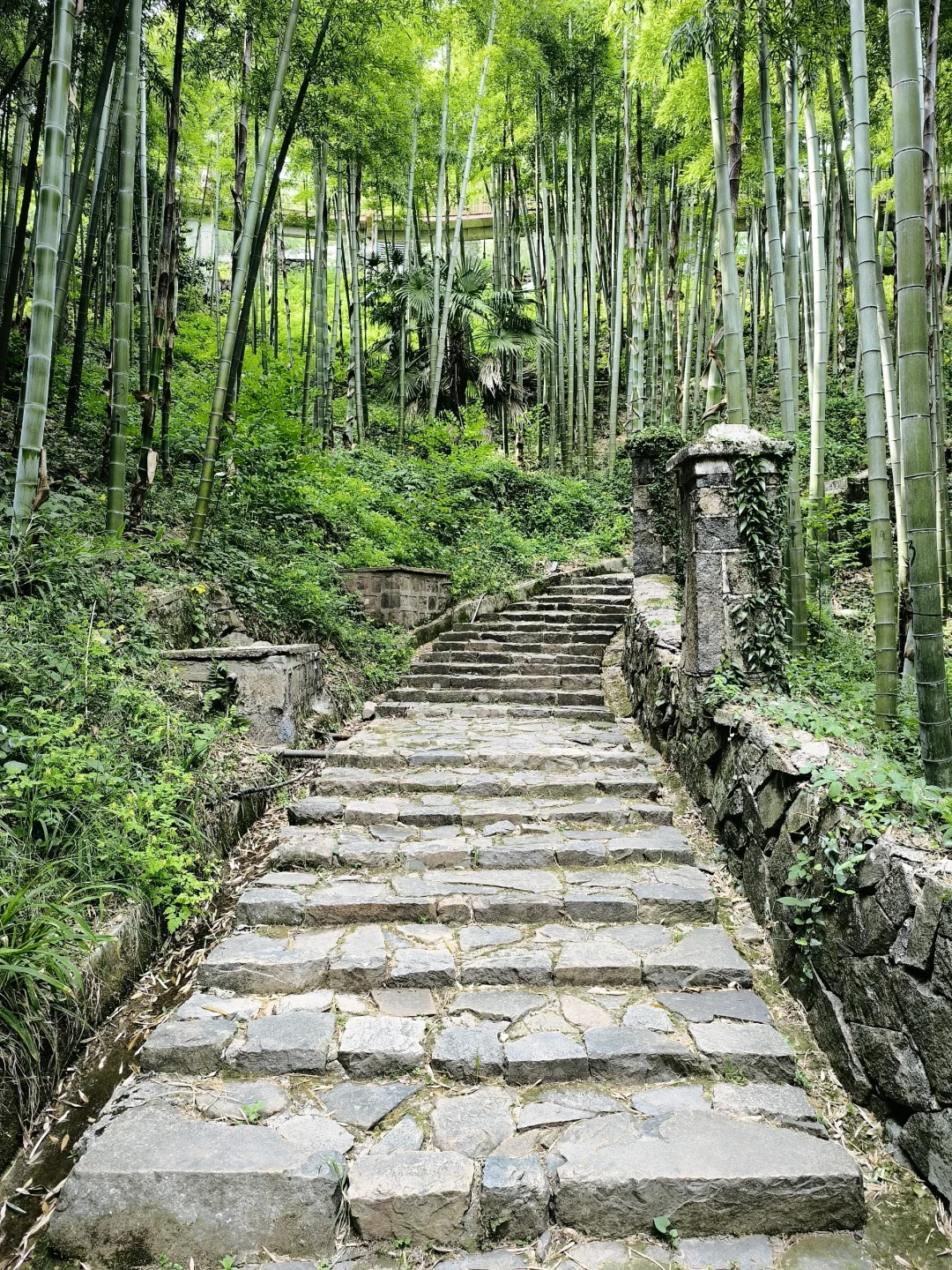 五一莫干山