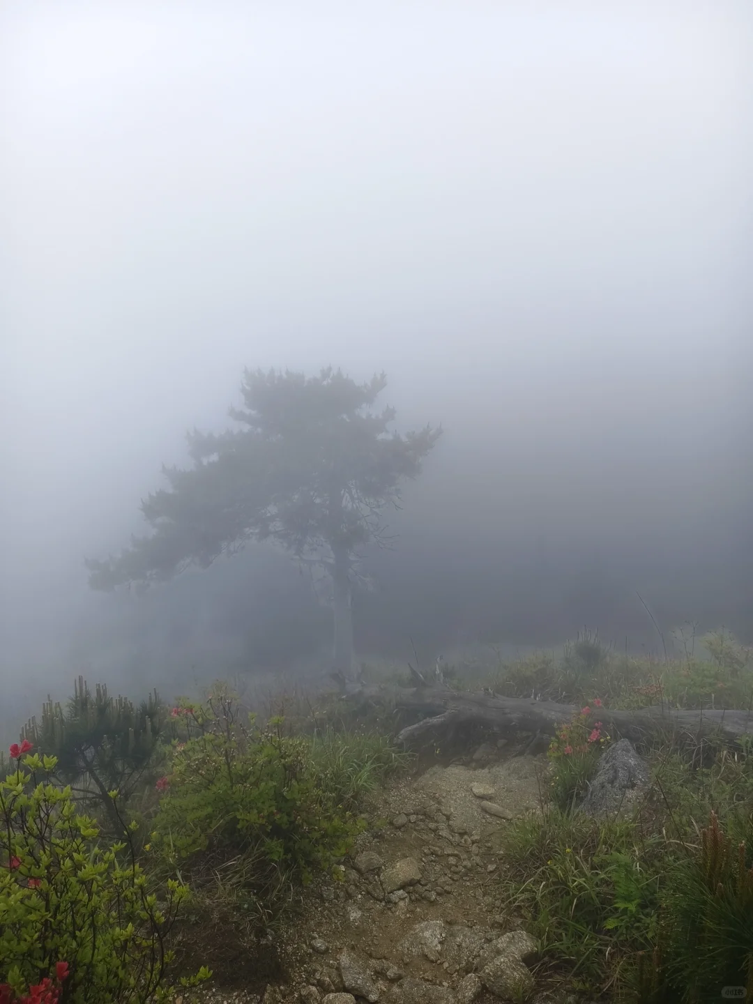武功山/因为是经典反穿线所以必须走一次呀