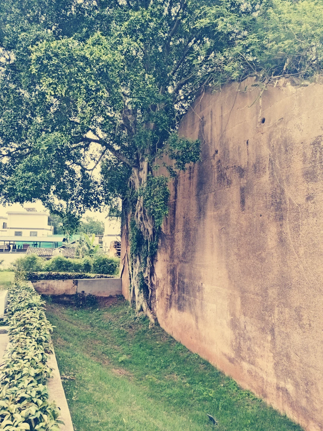 游南园古村