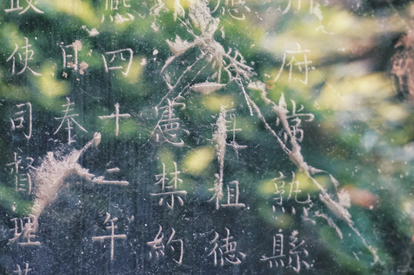 虞山客
