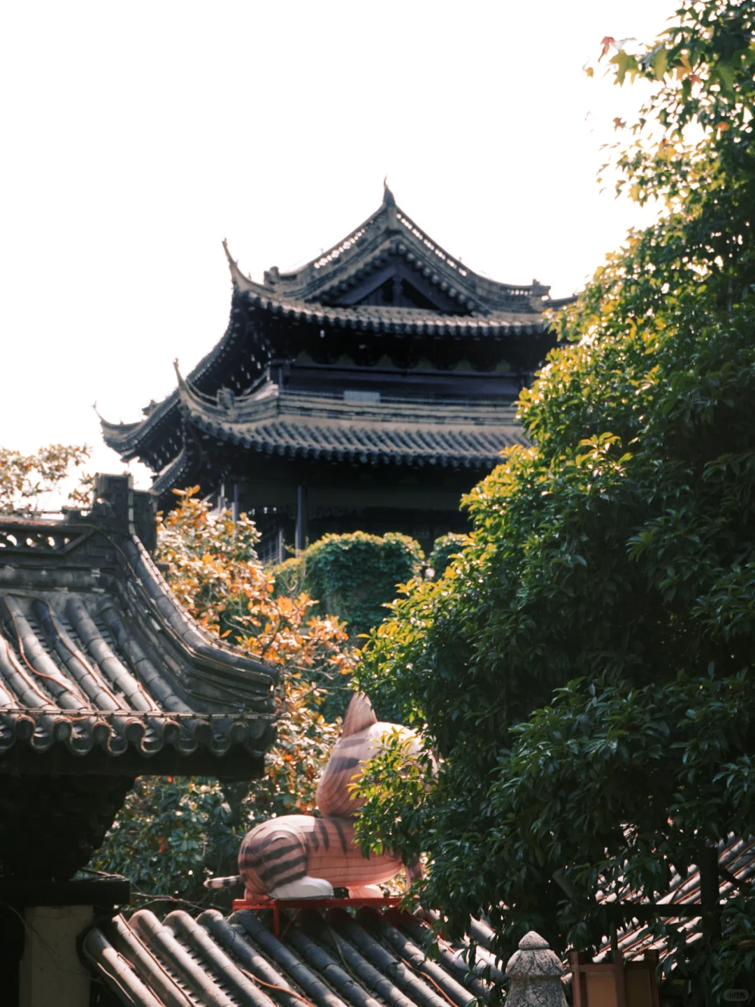 虞山客