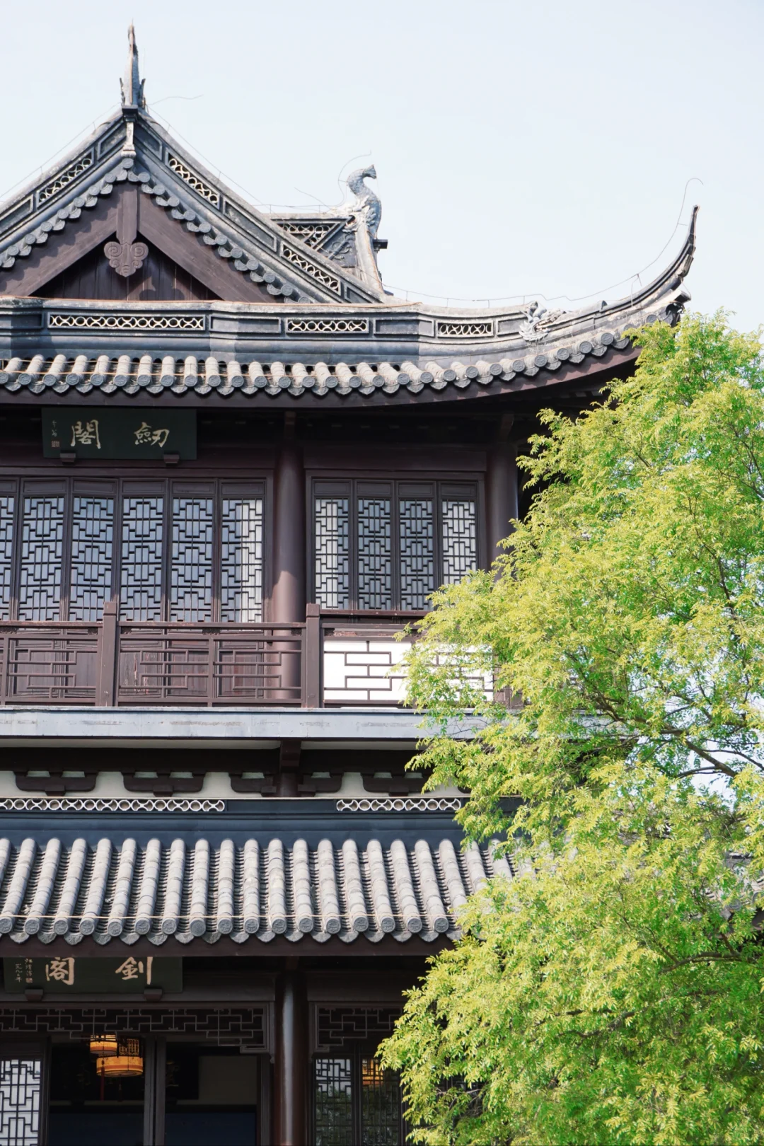 虞山客
