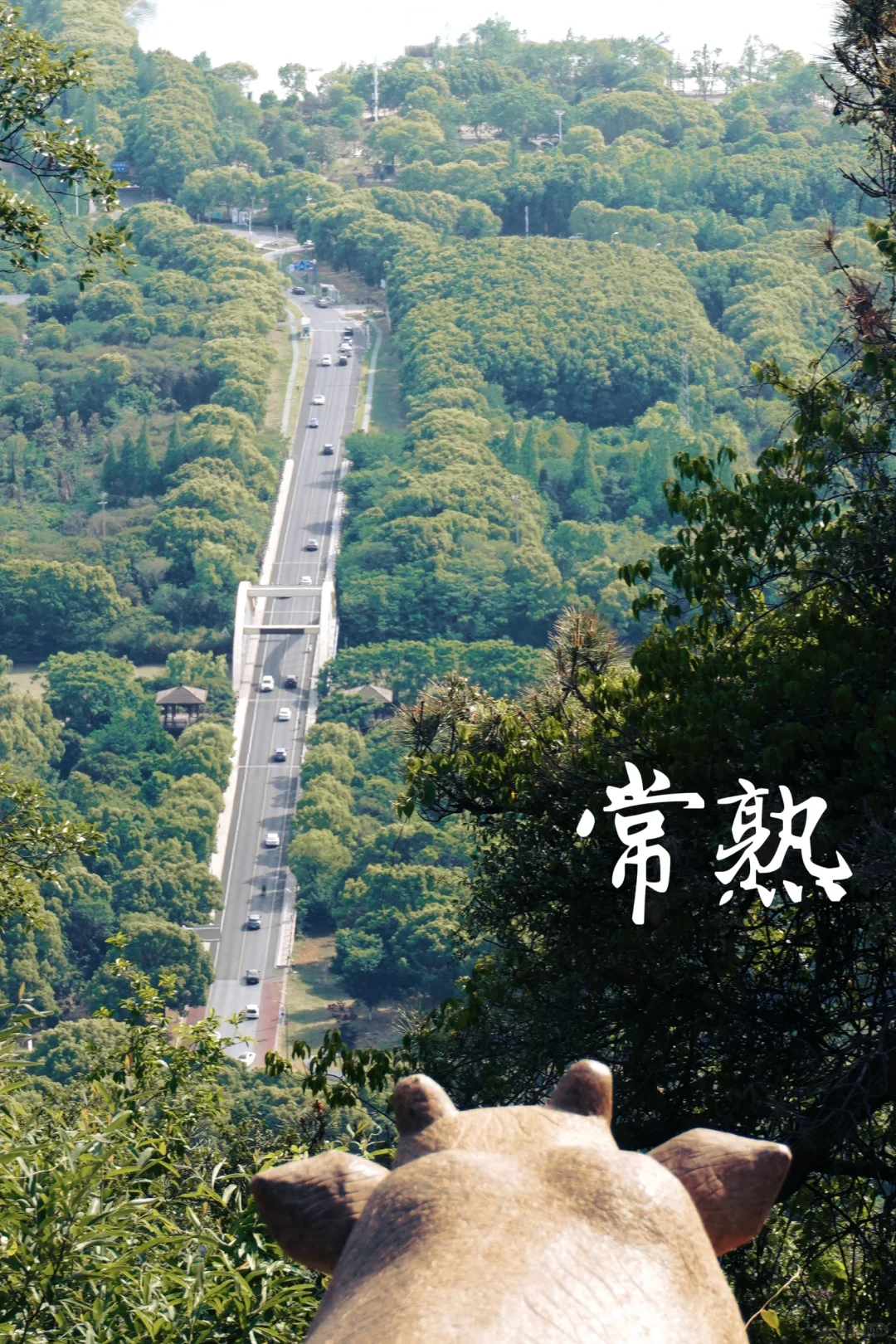 虞山客