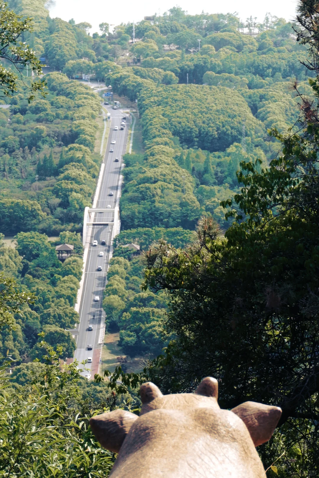 虞山客