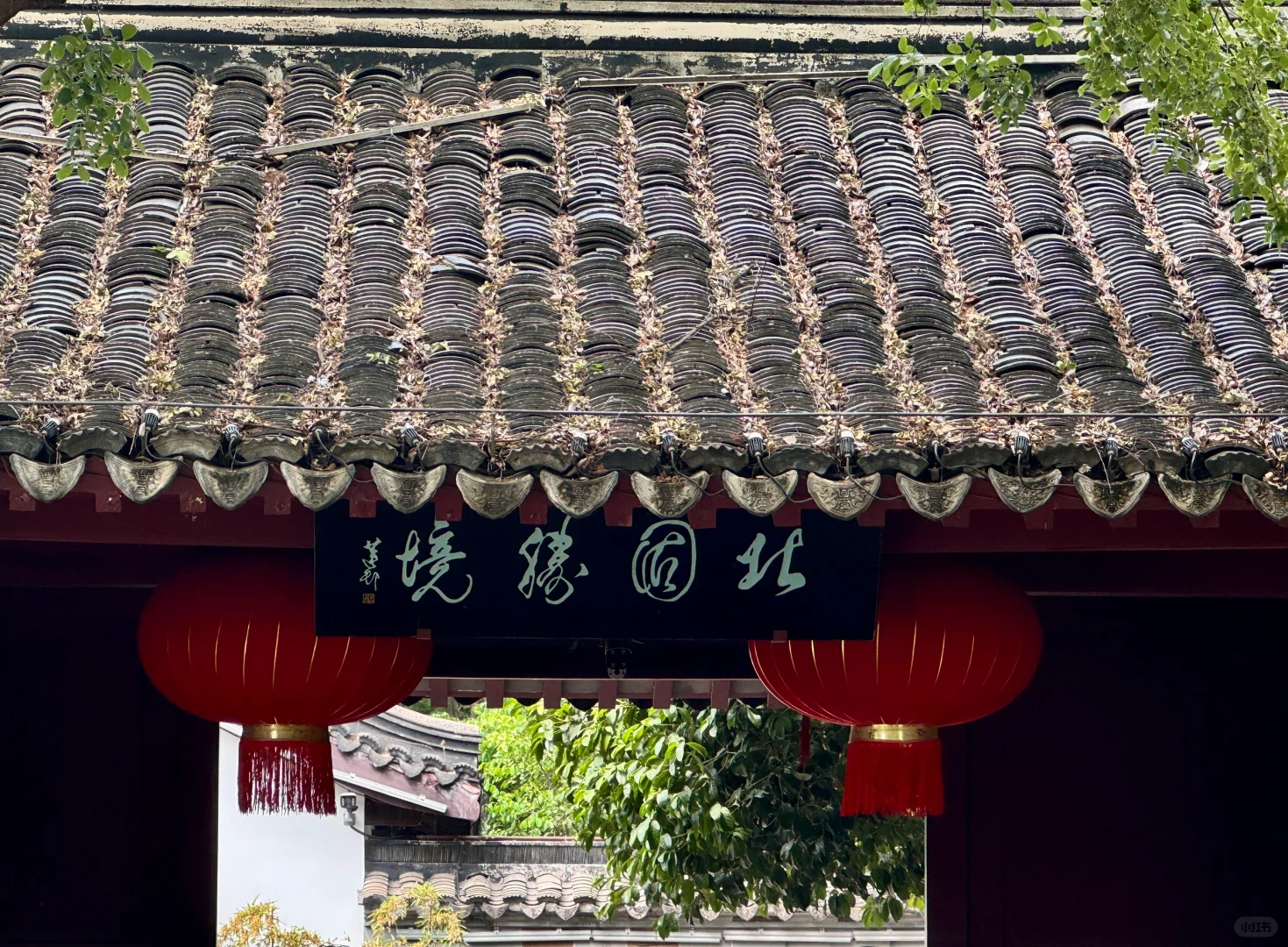 2天1夜镇江游—主打一个慢悠悠