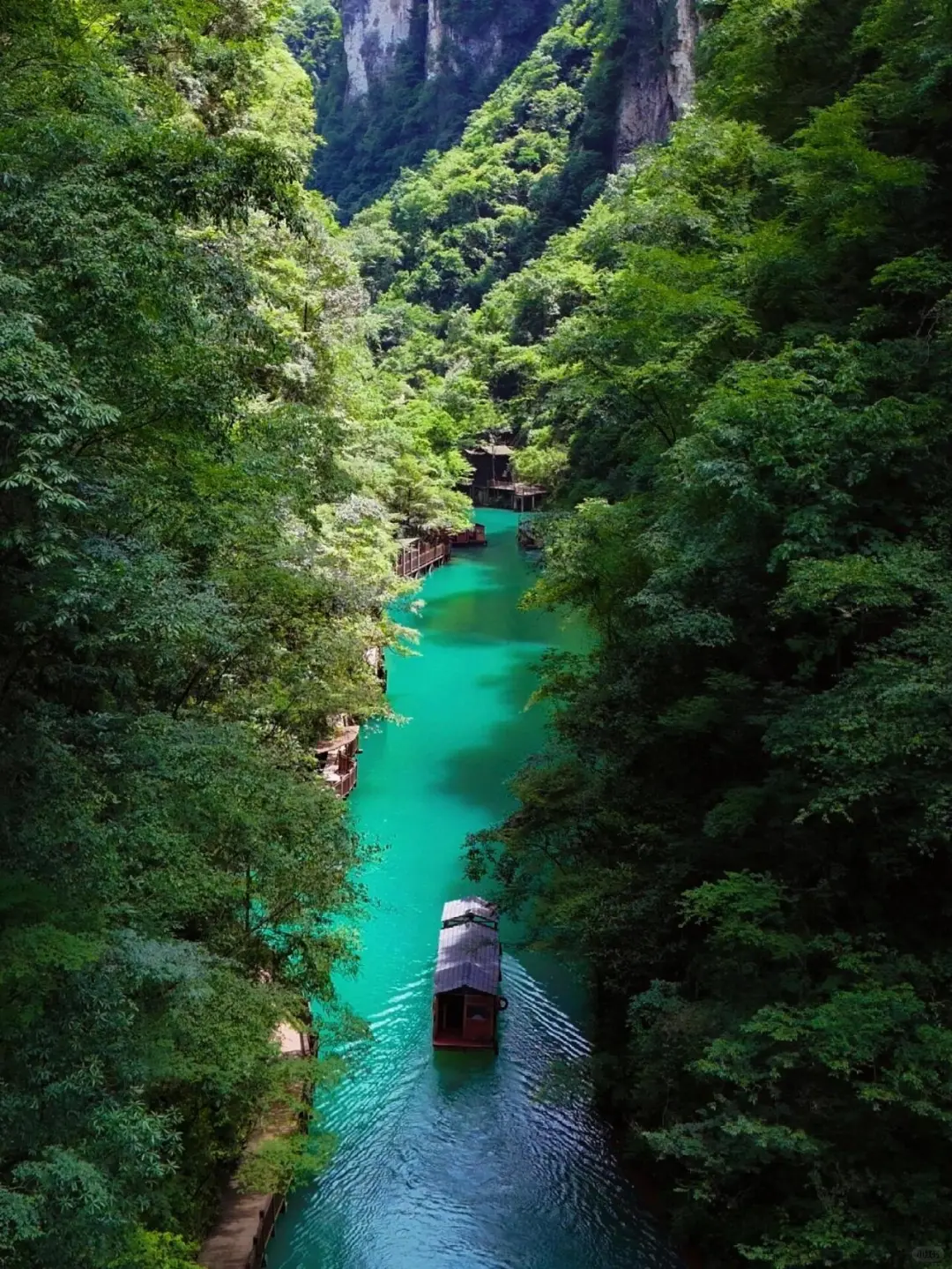 📍张家界｜吐槽完毕，来回顾一下美景🌄