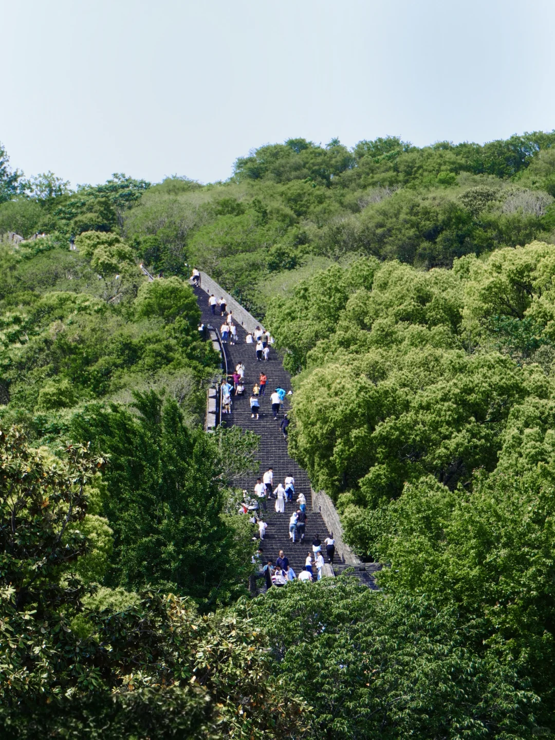 虞山客