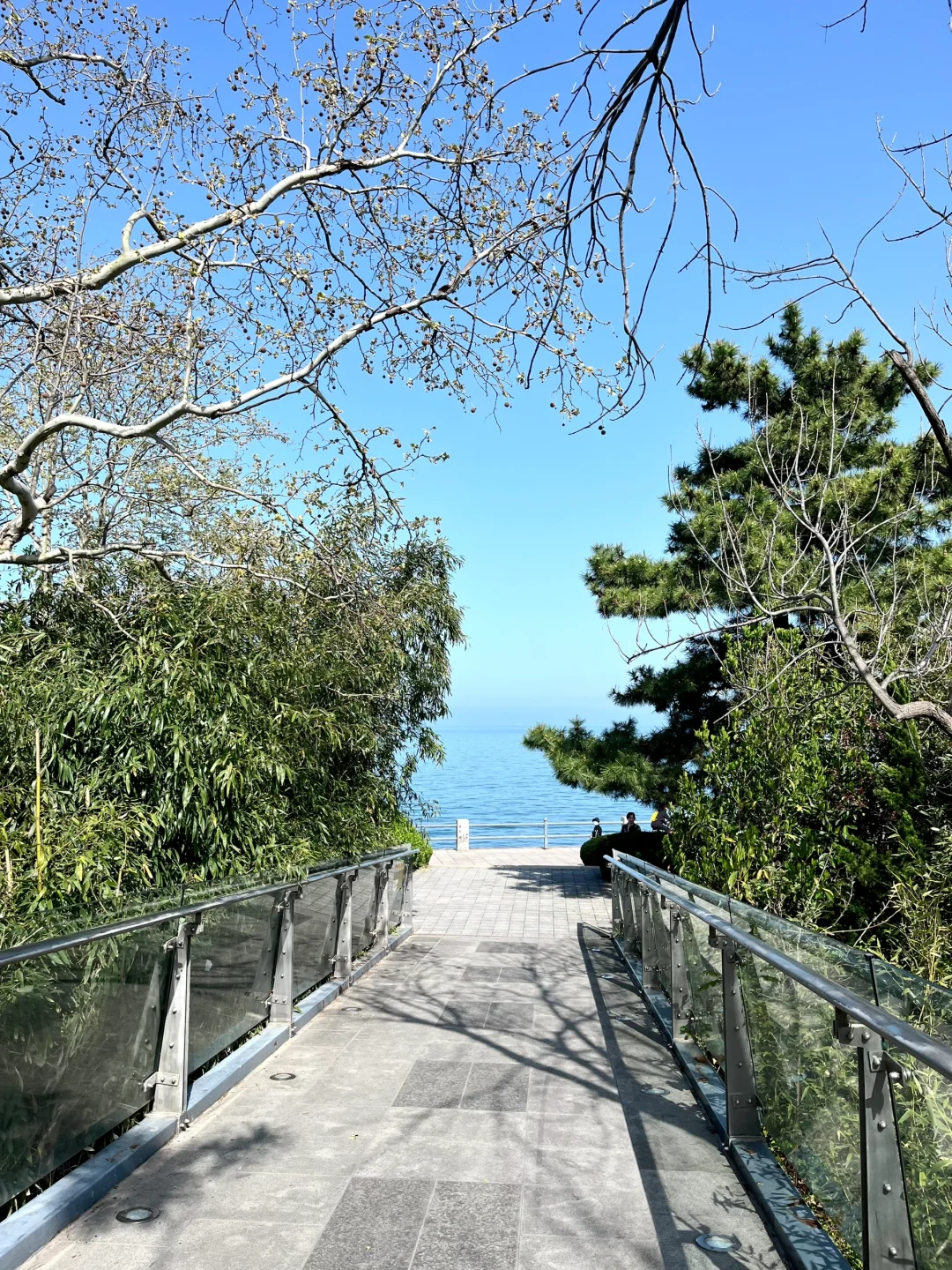 通往大海的小路🌊🌊