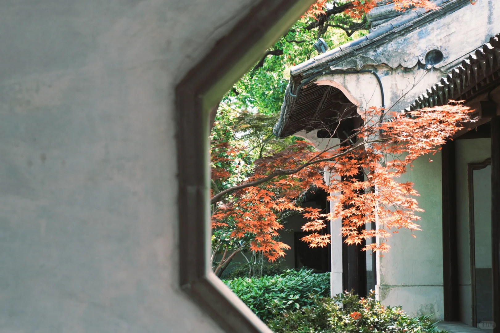 虞山客