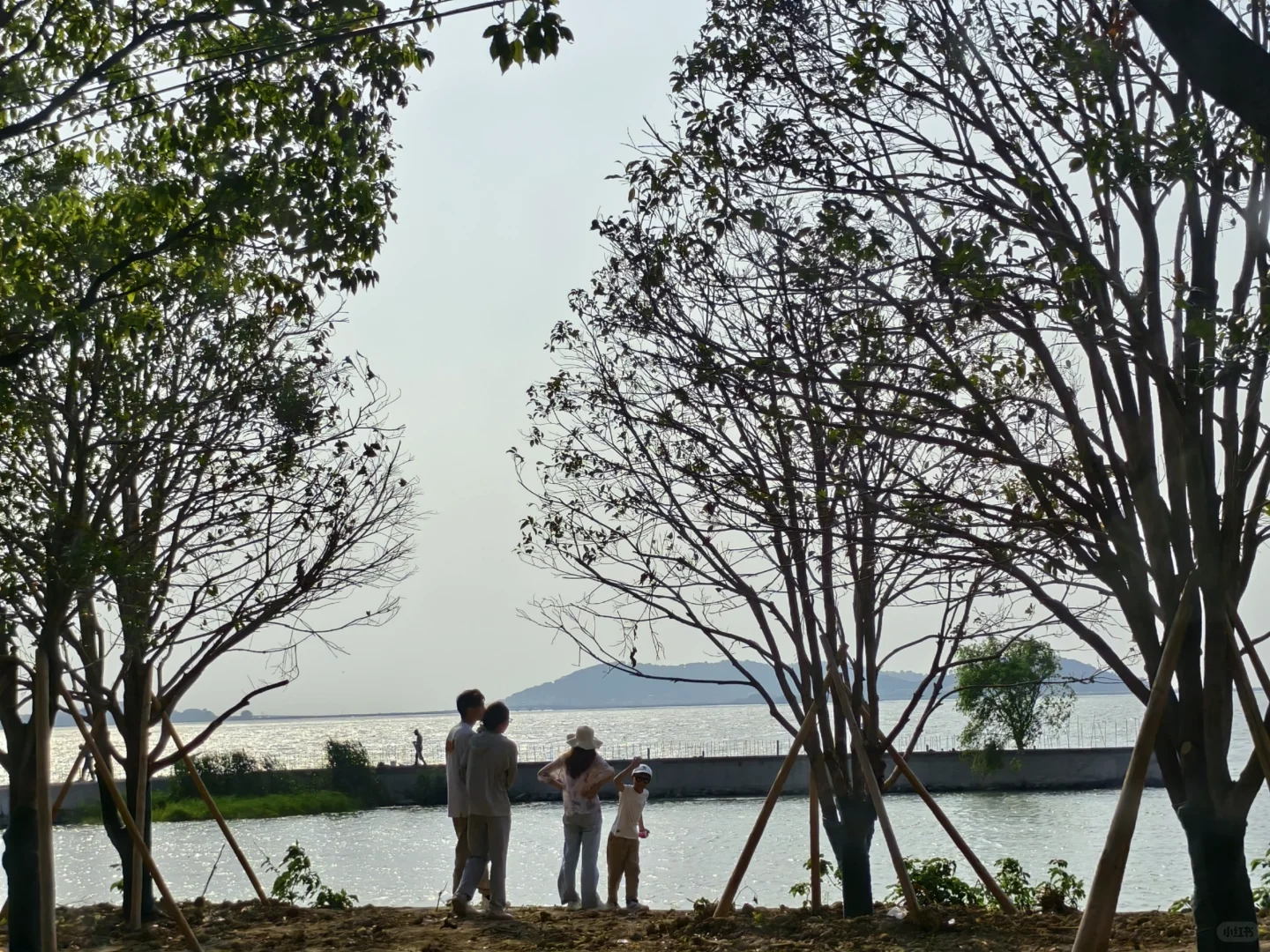 这不是镰仓，是全长393公里的太湖🌊
