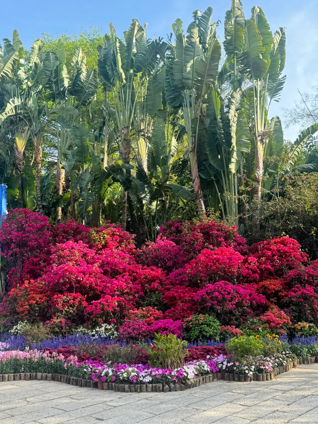 户外是我们的共同爱好park！厦门的小众景点～