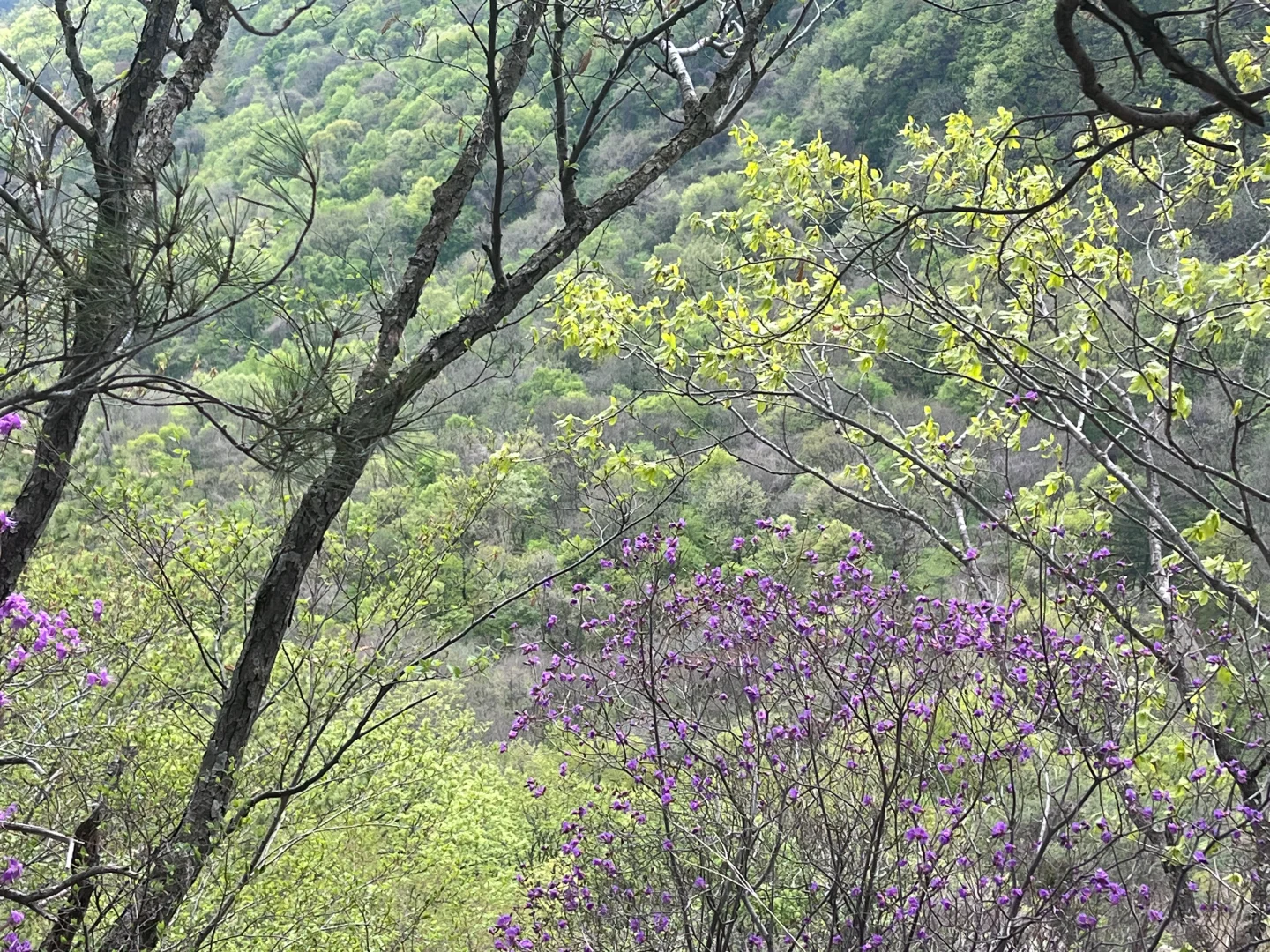 人少景美🌳小城游玩可真舒服🍃全家都❤️