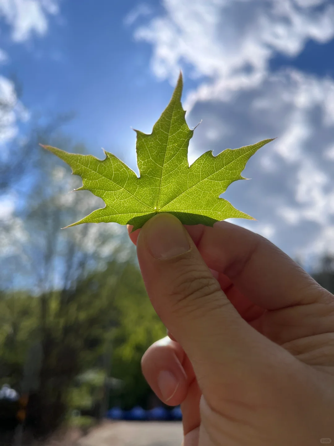 人少景美🌳小城游玩可真舒服🍃全家都❤️
