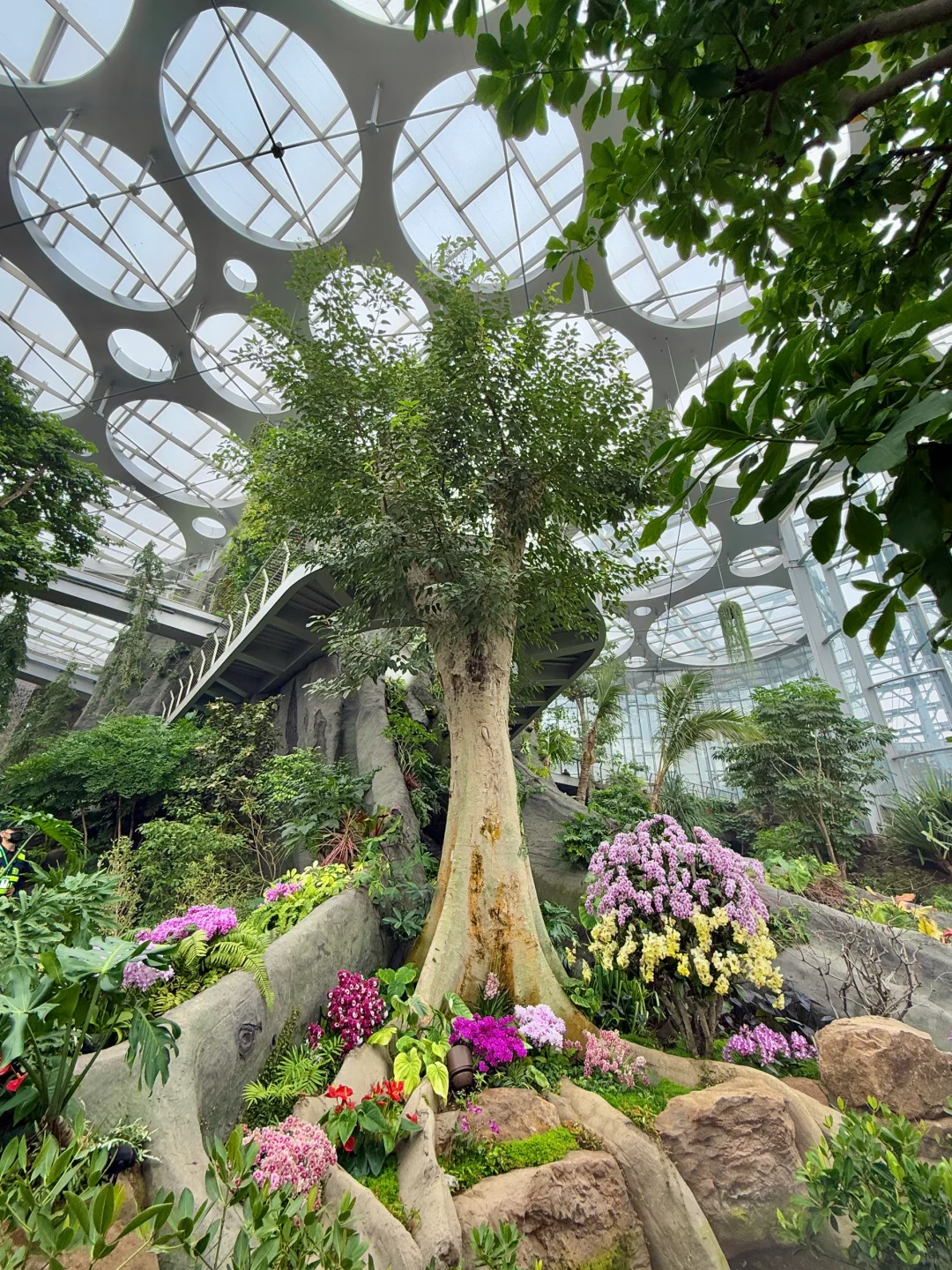 以为海洋馆够美了，直到去了水底森林🌳🫧……