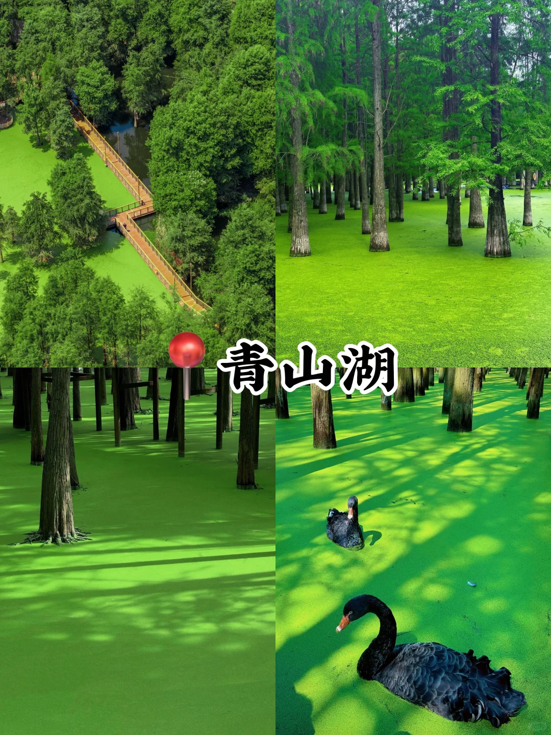 🔥 杭州必去九大景点!!每一个都美到窒息