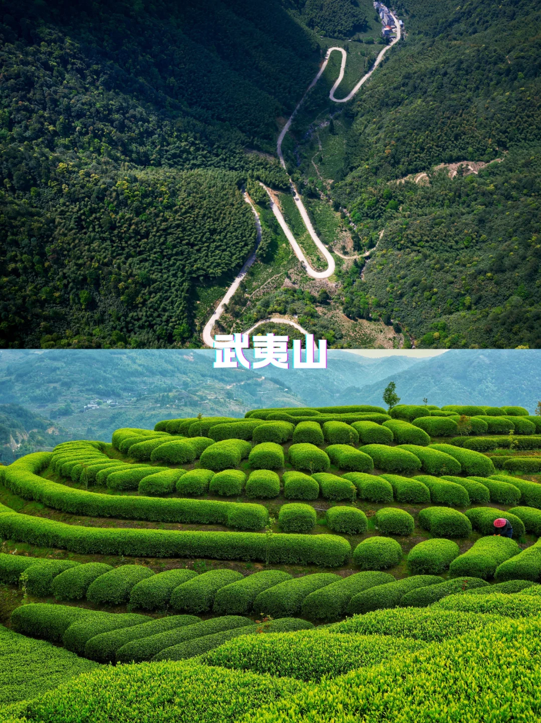🌟五一这些景区免票啦，错过等一年！🌟