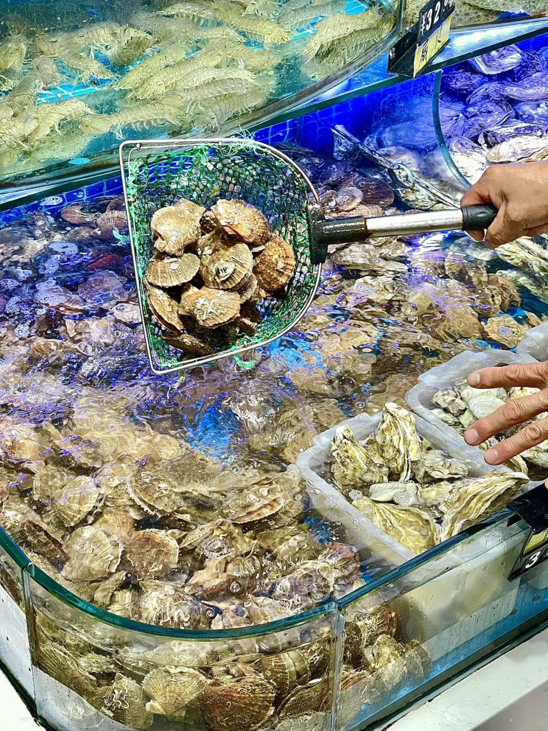 暑假去日照玩疯啦！🌊这份攻略快收好