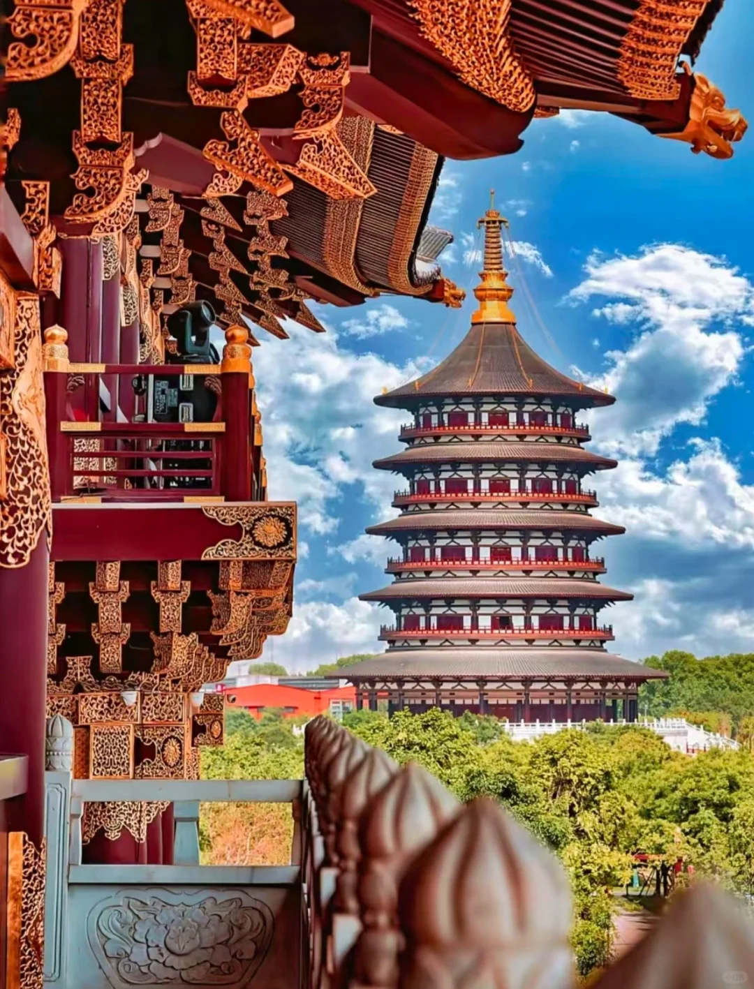 穿越神都洛阳，开启千年文化盛宴🎇