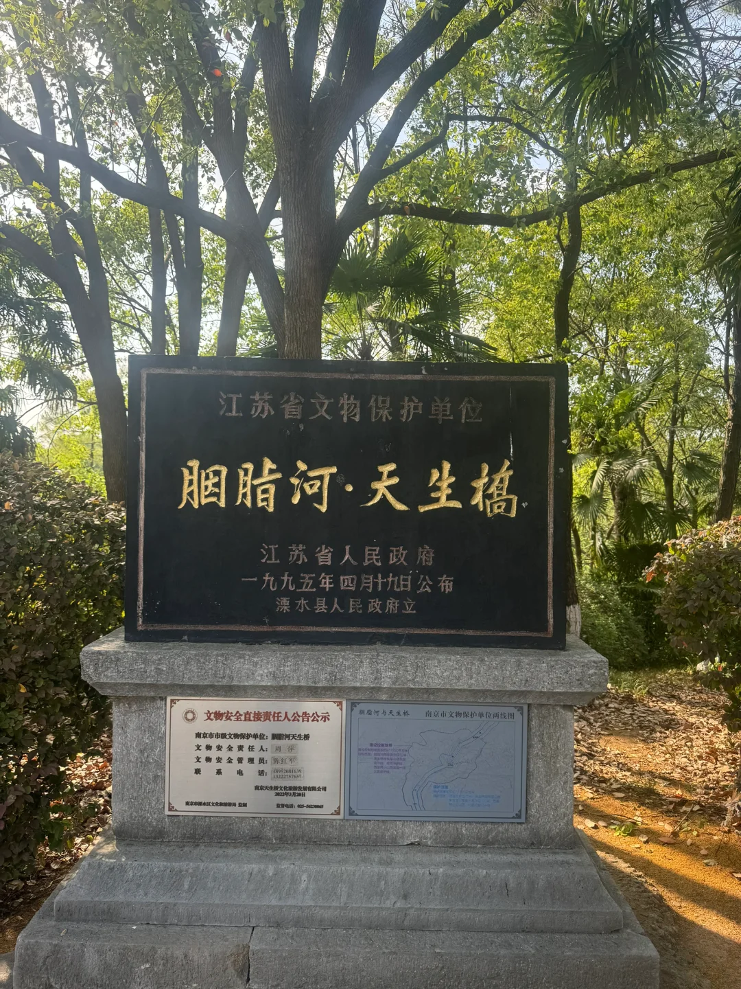 溧水天生桥的玫瑰园，谁不迷糊！📷
