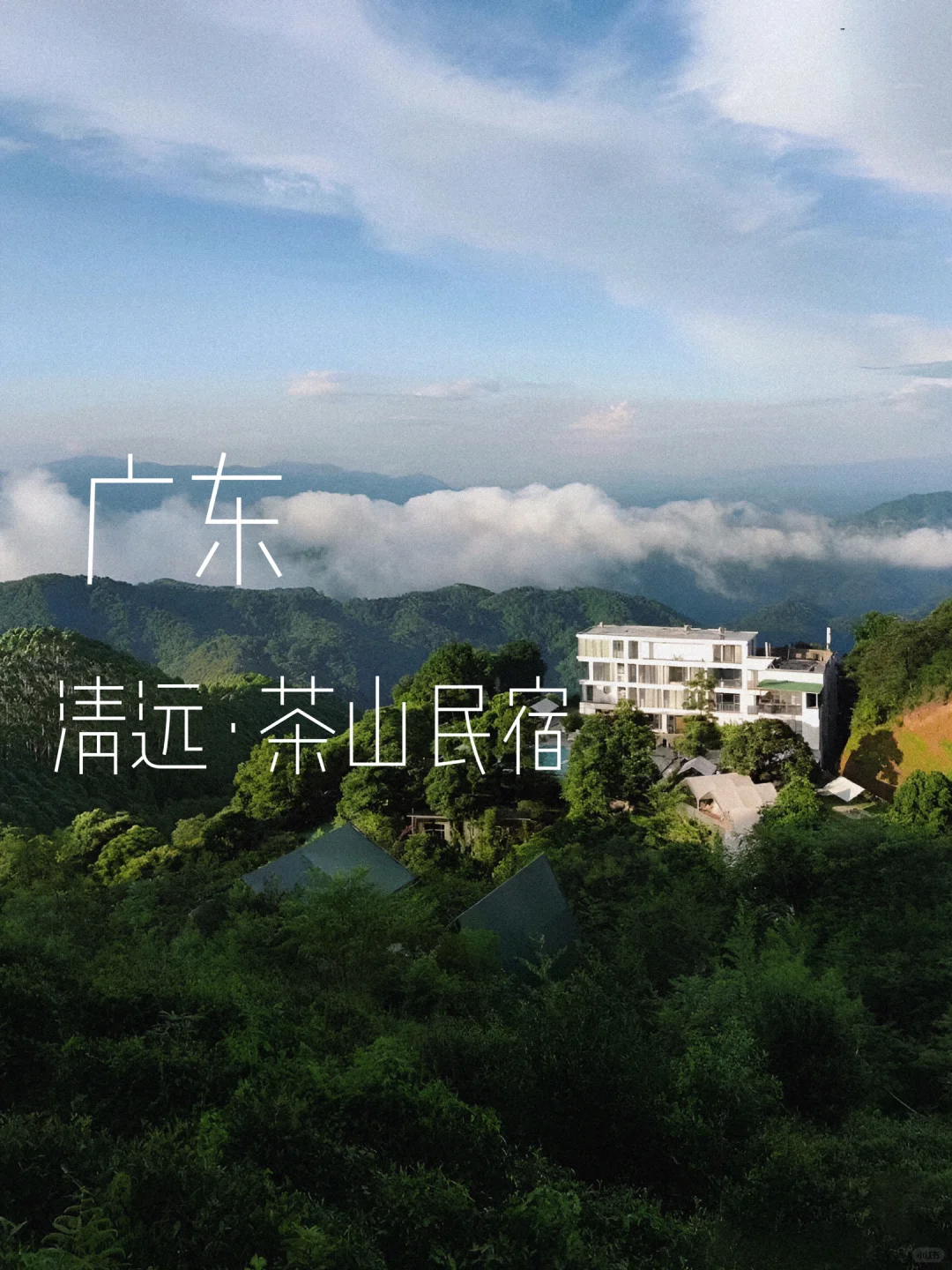 连住两晚！在清远山中采茶制茶、超惬意...