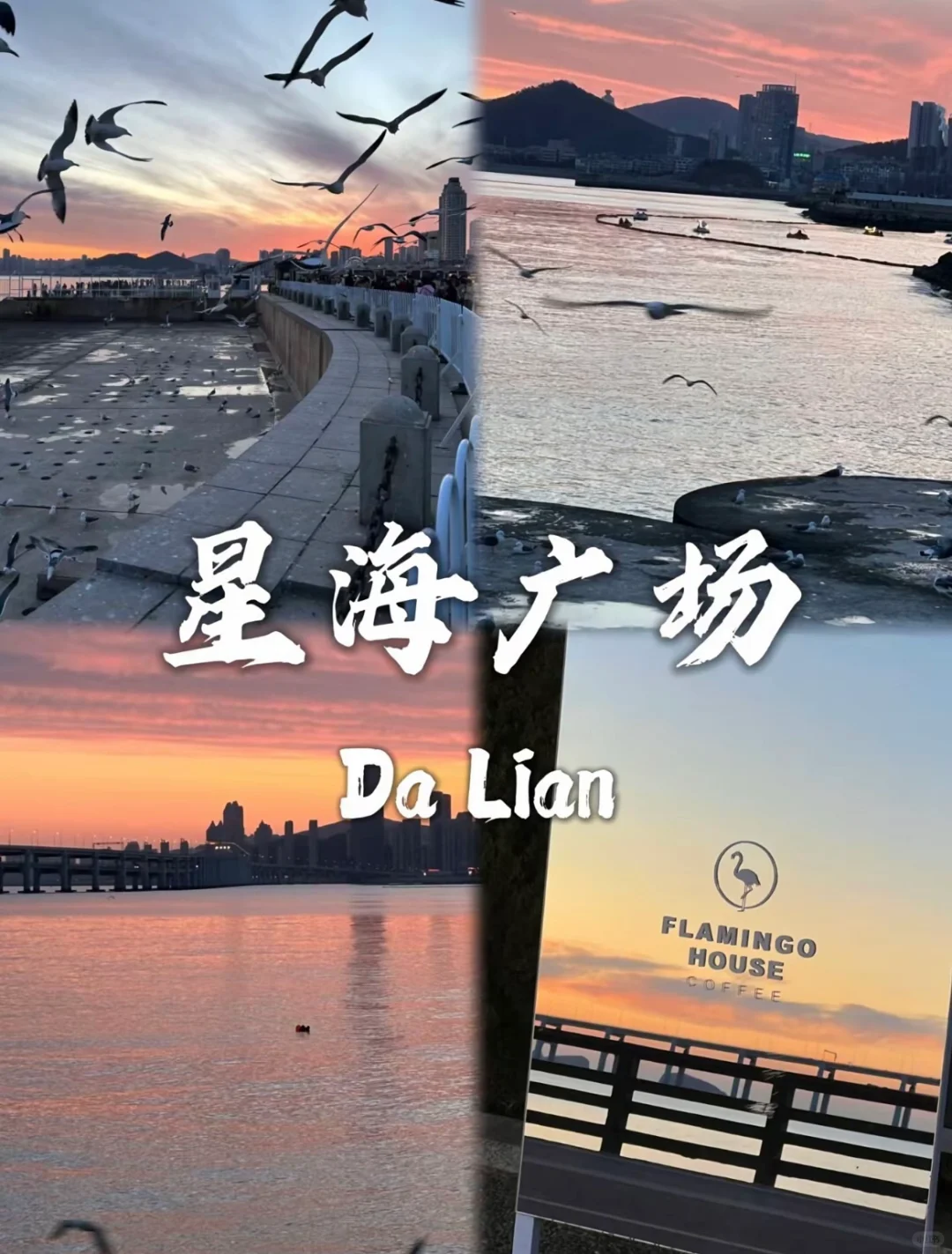 4-5🈷️来大连必打卡的9⃣️大景点➕详细攻略