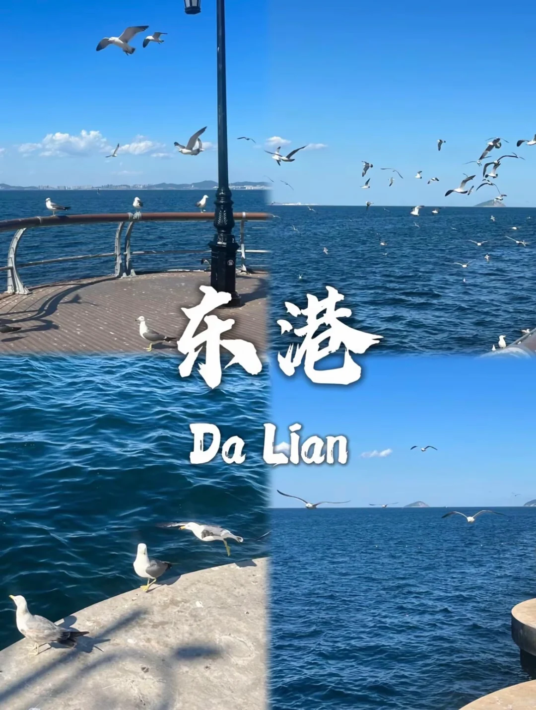 4-5🈷️来大连必打卡的9⃣️大景点➕详细攻略