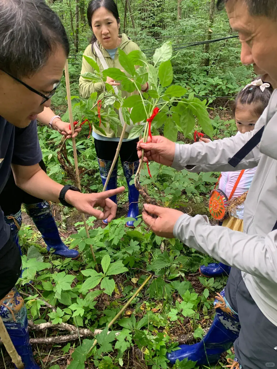 带娃去了22℃的长白山，真的比新西兰还震撼！