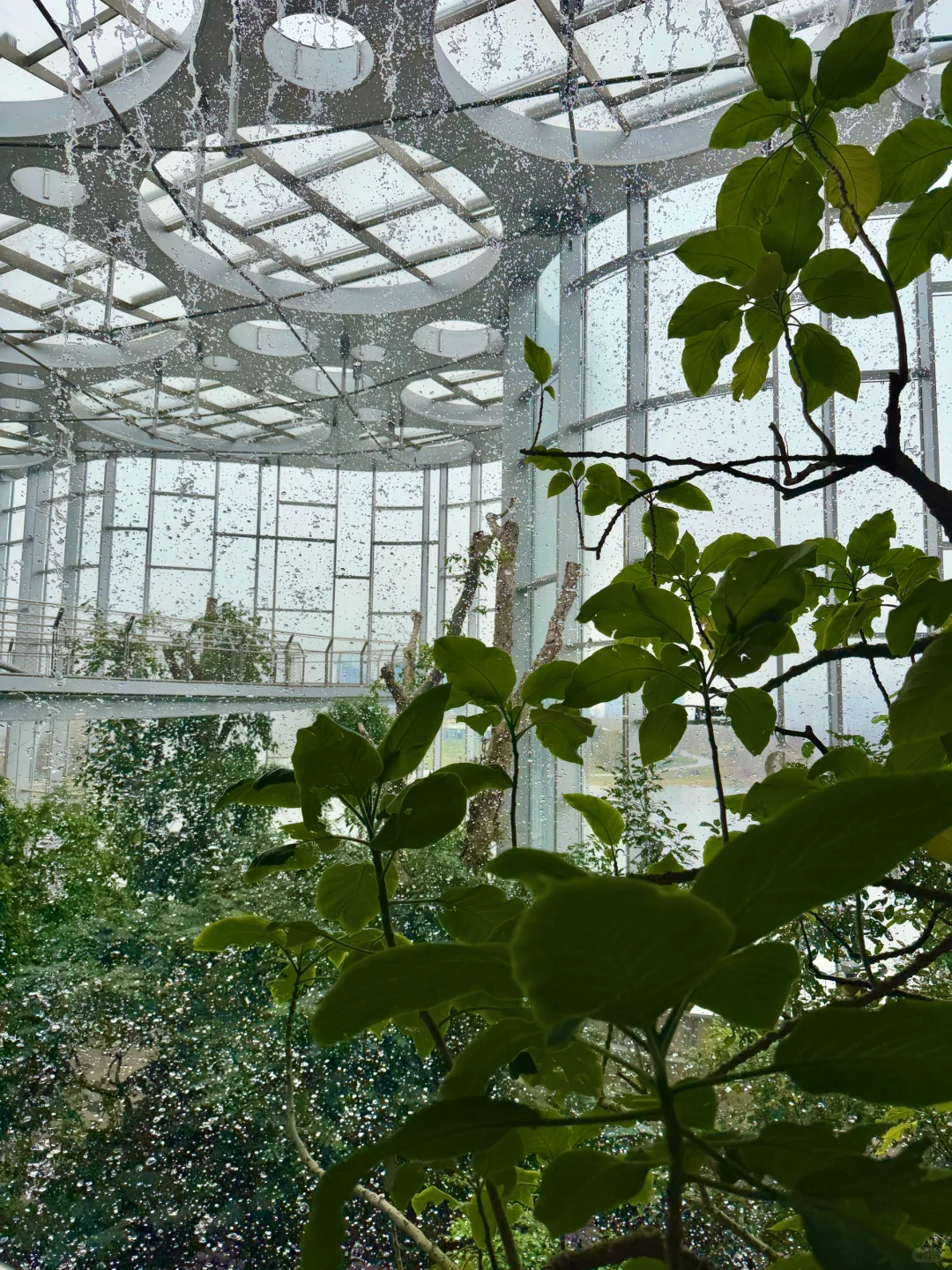 以为海洋馆够美了，直到去了水底森林🌳🫧……