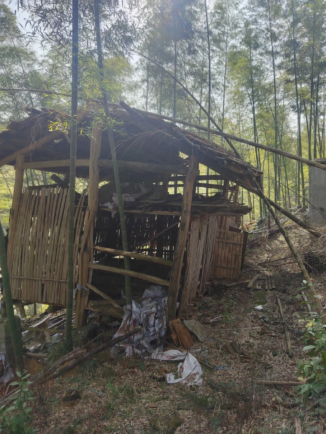 大山深处自然美山清水秀好风光