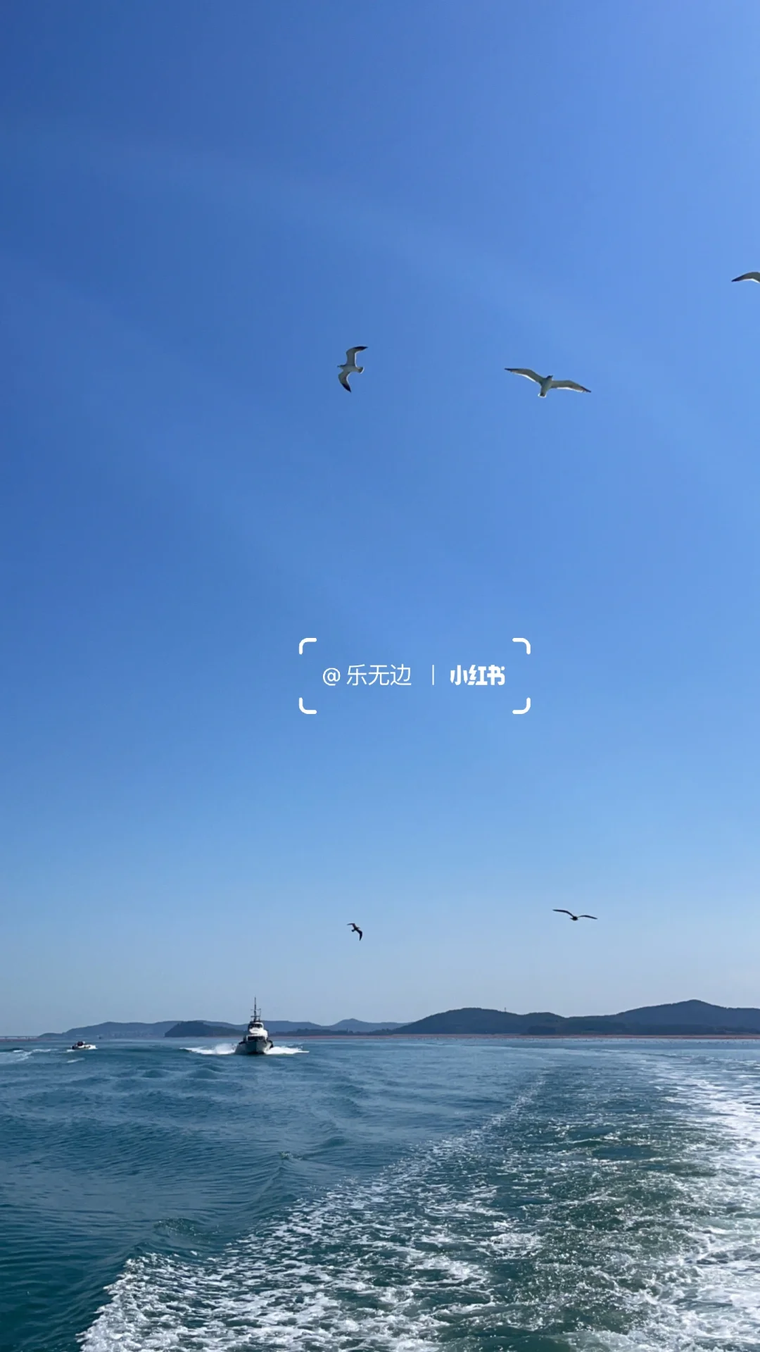 不知道的以为去了澳洲😆