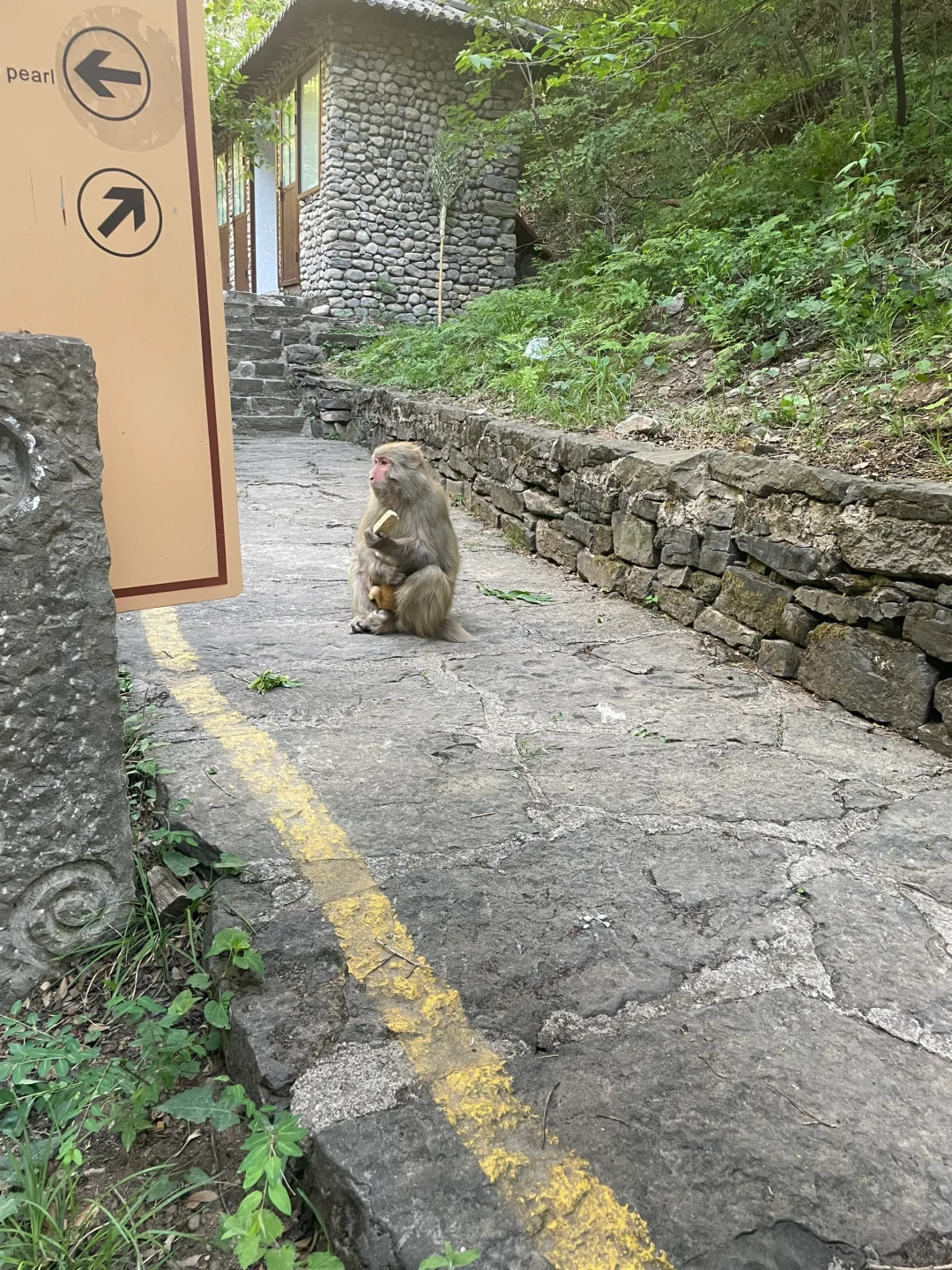 蟒河景区小交通吃相太难看