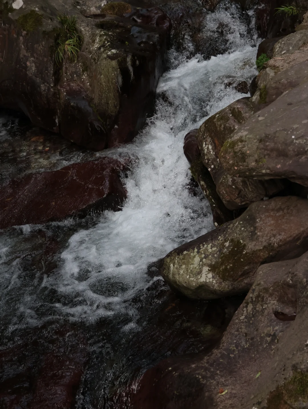 山野·聆听