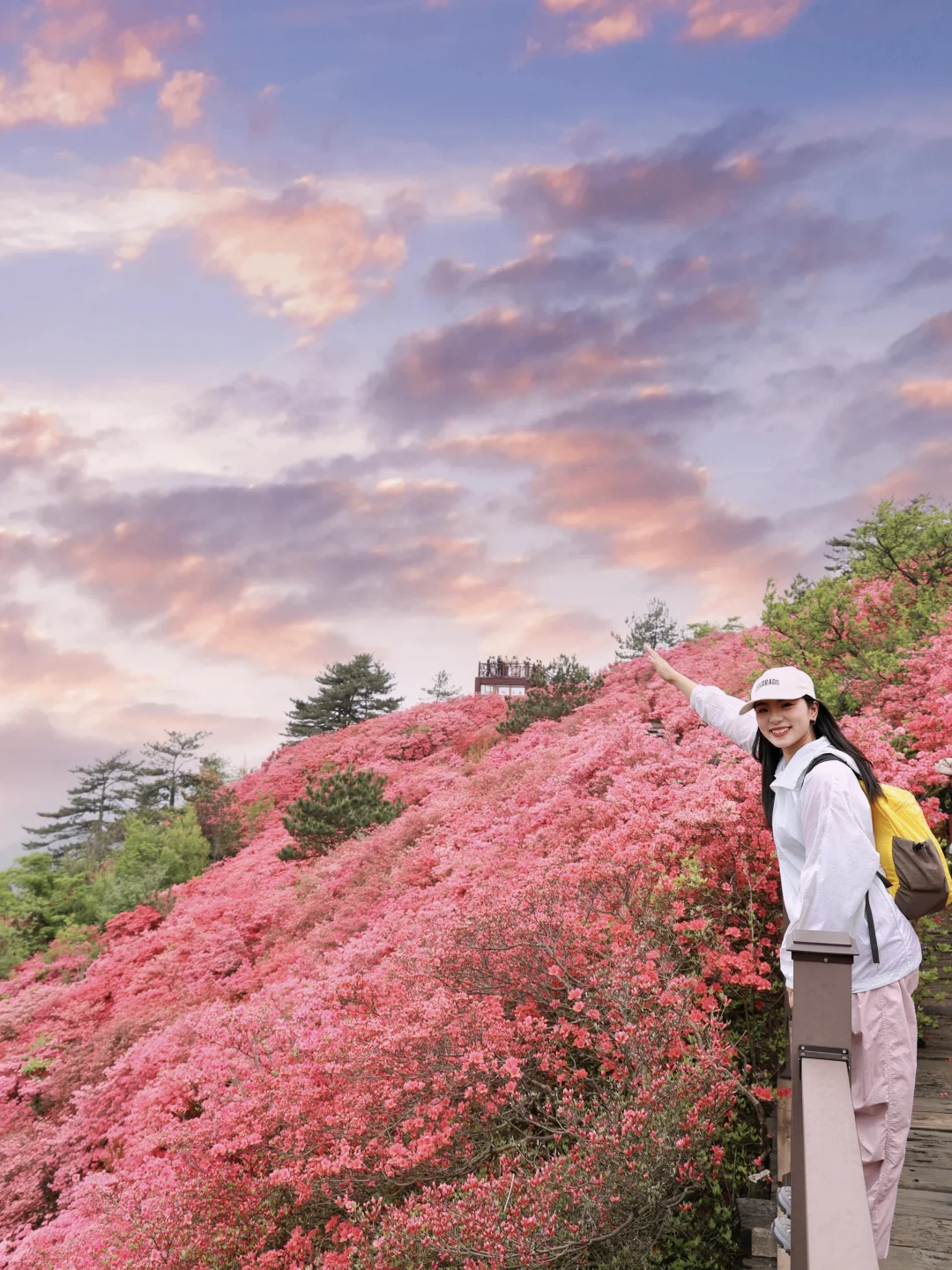 武汉2h，这里杜鹃花🌺已开爆！速来！附攻略