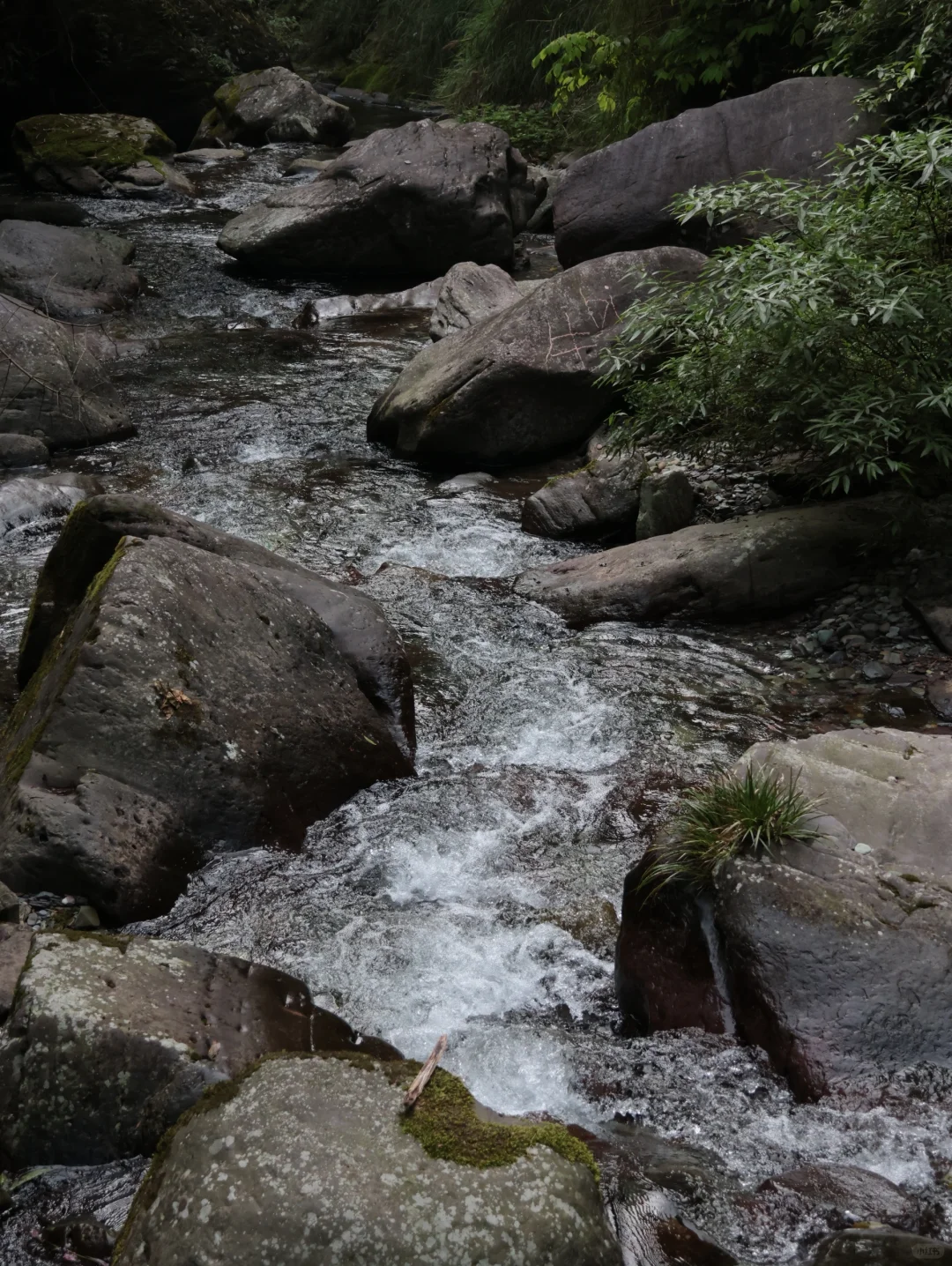 山野·聆听