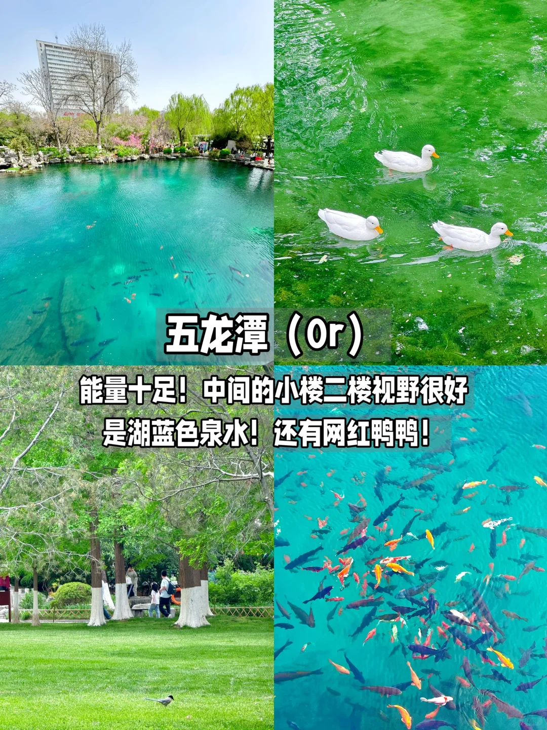 济南！真不缺好逛的地方！（都免fei。。。！！