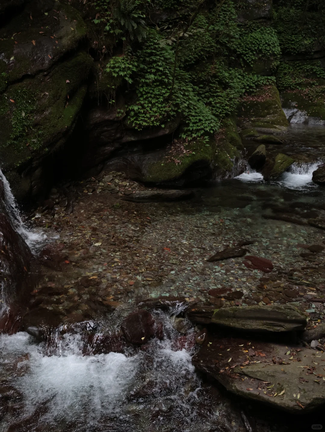 山野·聆听