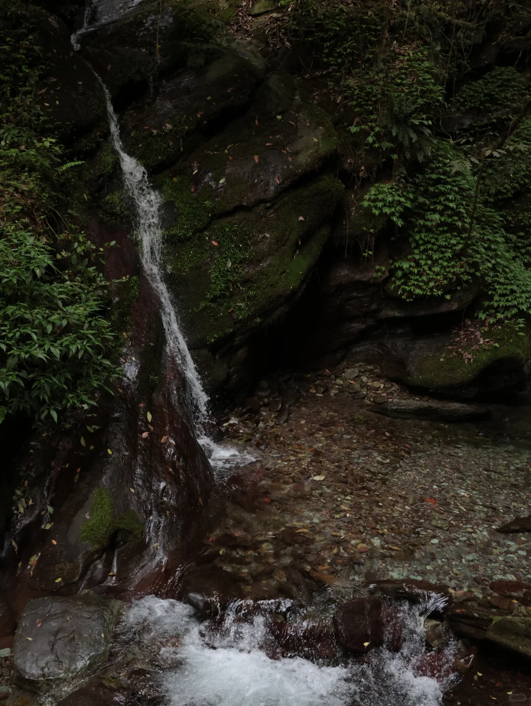 山野·聆听