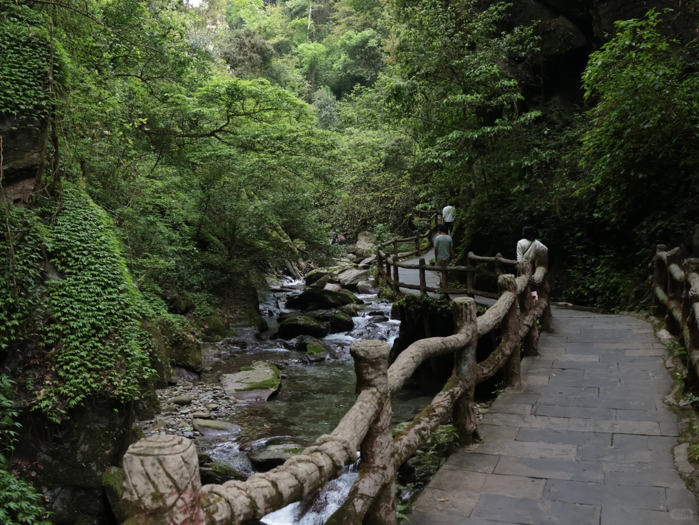 山野·聆听