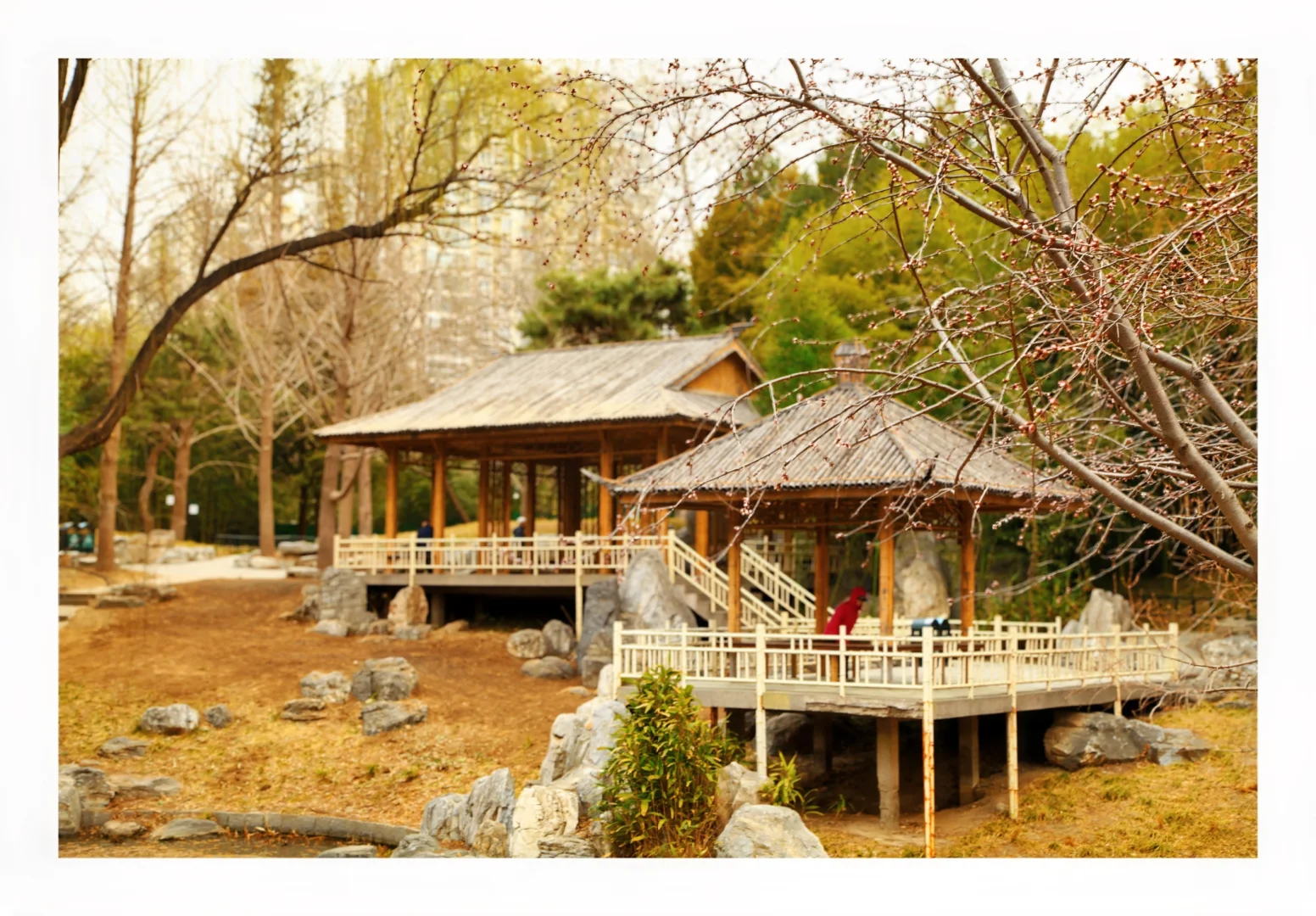 标题：🏕️园林湖畔，静享悠闲慢时光正文：