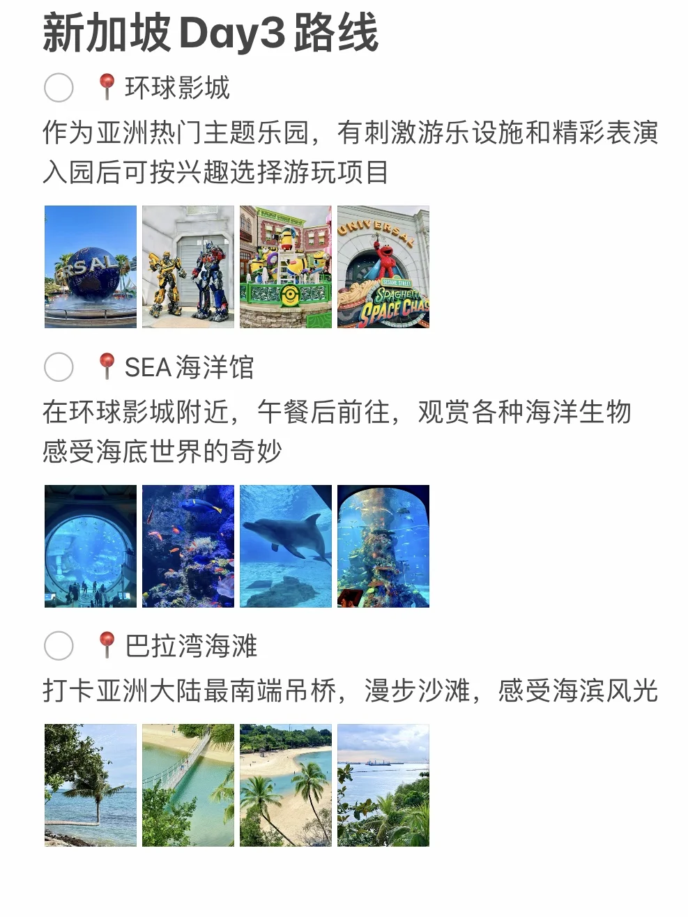 被自己做的新加坡🏖️攻略满意得睡不着…🥵